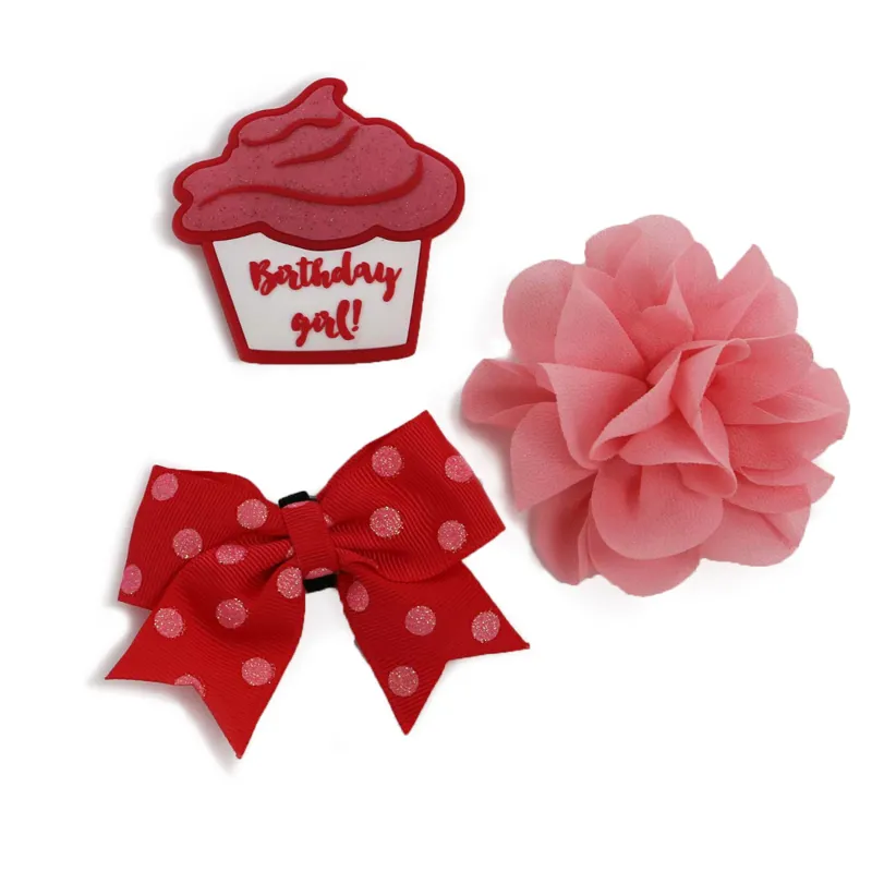 Ancol Birthday Collar Accessories Pink